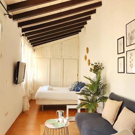 Апартаменты Stunning Attic With Private Terrace And Parking Optional Севилья Экстерьер фото