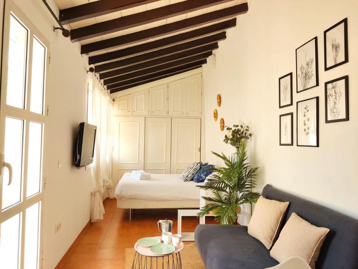 Апартаменты Stunning Attic With Private Terrace And Parking Optional Севилья Экстерьер фото